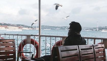 情蛊沈见青小说操作手册