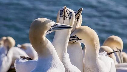 无语！无人关注的细节引爆全网，网友炸锅，无人关注电影