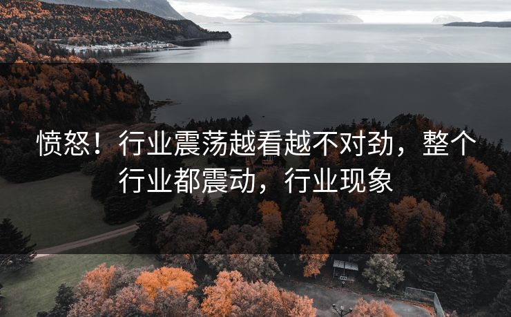 愤怒！行业震荡越看越不对劲，整个行业都震动，行业现象