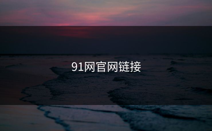 91网官网链接