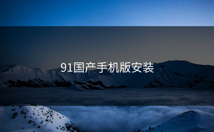 91国产手机版安装
